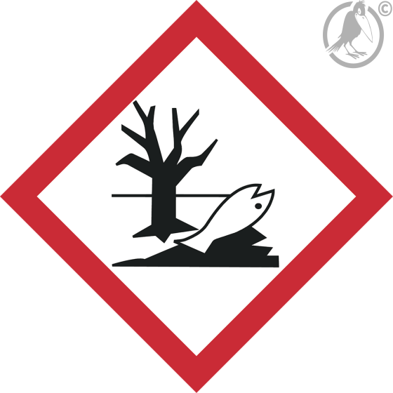 GHS Symbol 09 – Umwelt