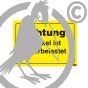 Aufkleber für Container "Achtung! Deckel ist federbelastet!", aus wetterfester Folie, 210 x 105 mm